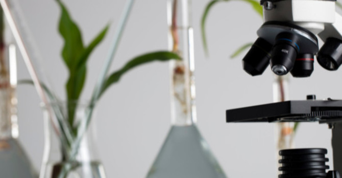 Regenerative Peptide Therapy- Coming in 2025